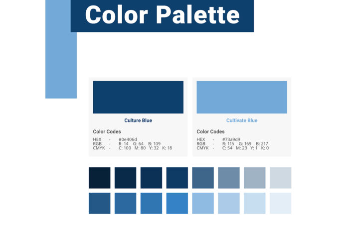 Brand Identity Color Palette Section