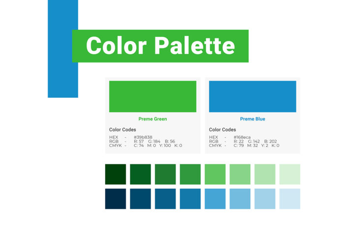 Brand Identity Color Palette Section