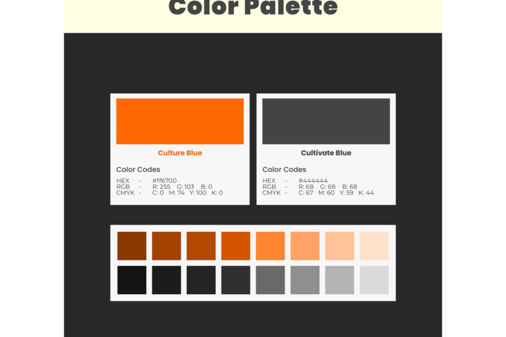 Brand Identity Color Palette Section